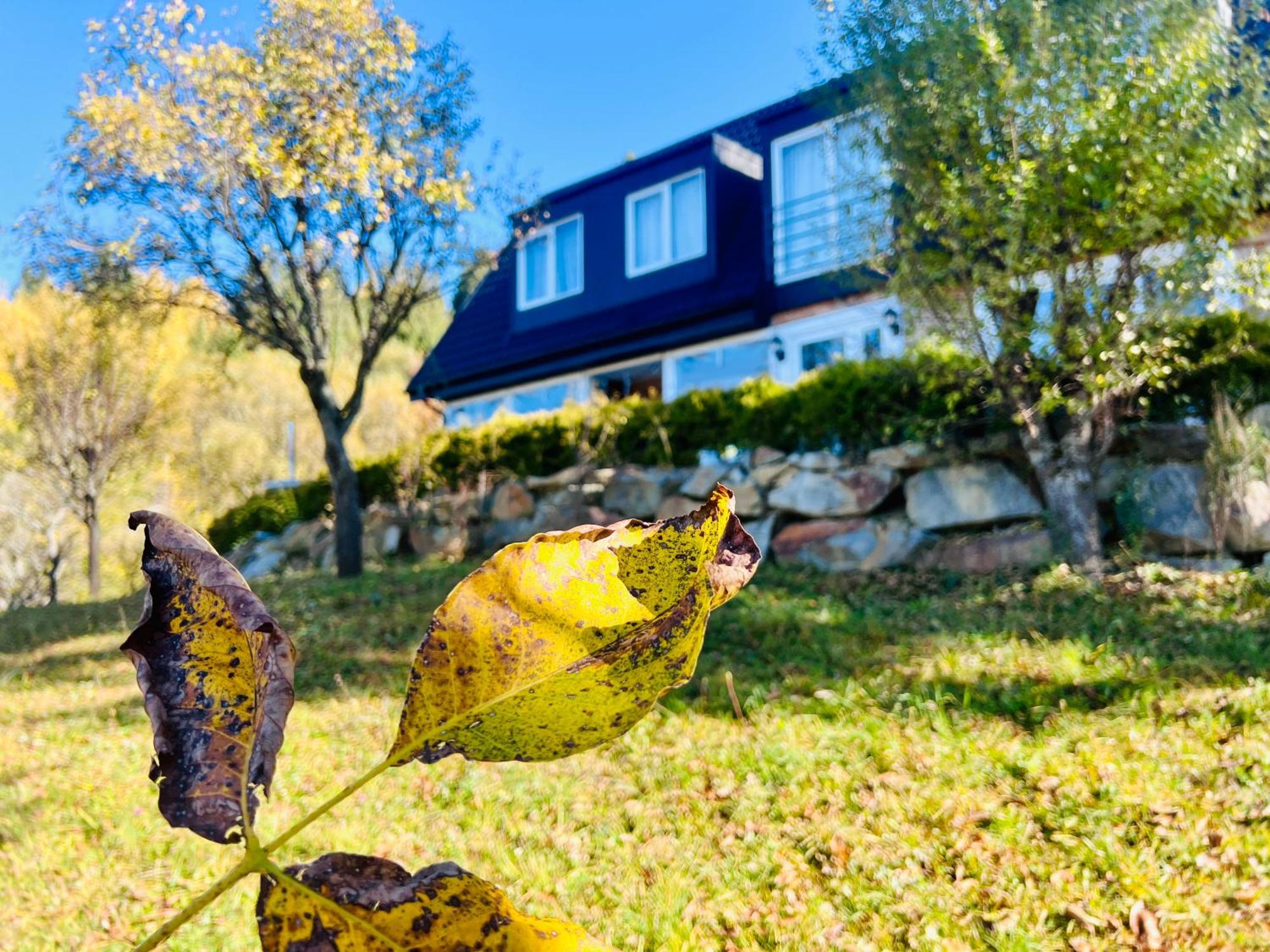 Doinita House Borşa Exterior foto